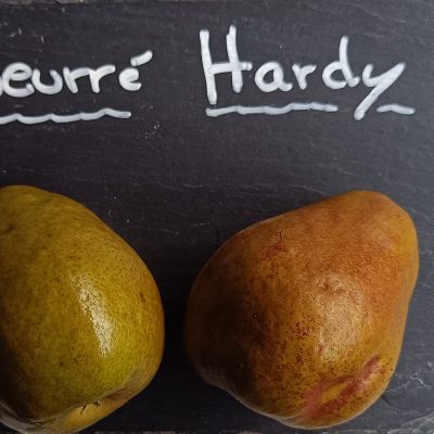 BEURRE HARDY