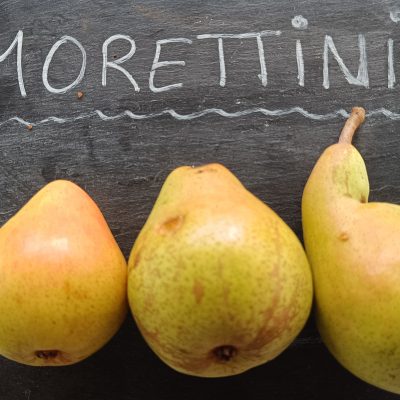 PRECOCE DE MORETTINI