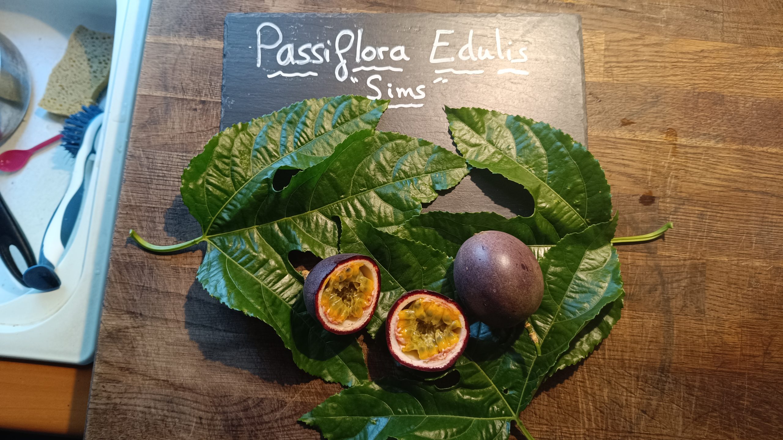 Fruit de la passion Edulis "Sims"